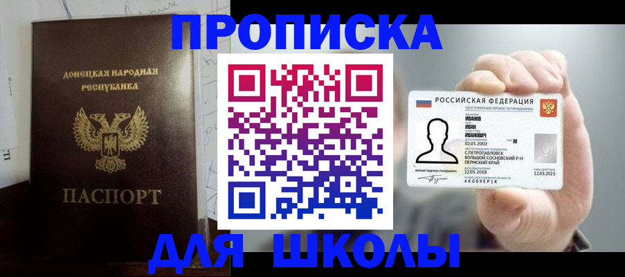 временная регистрация поиск в Светлогорске